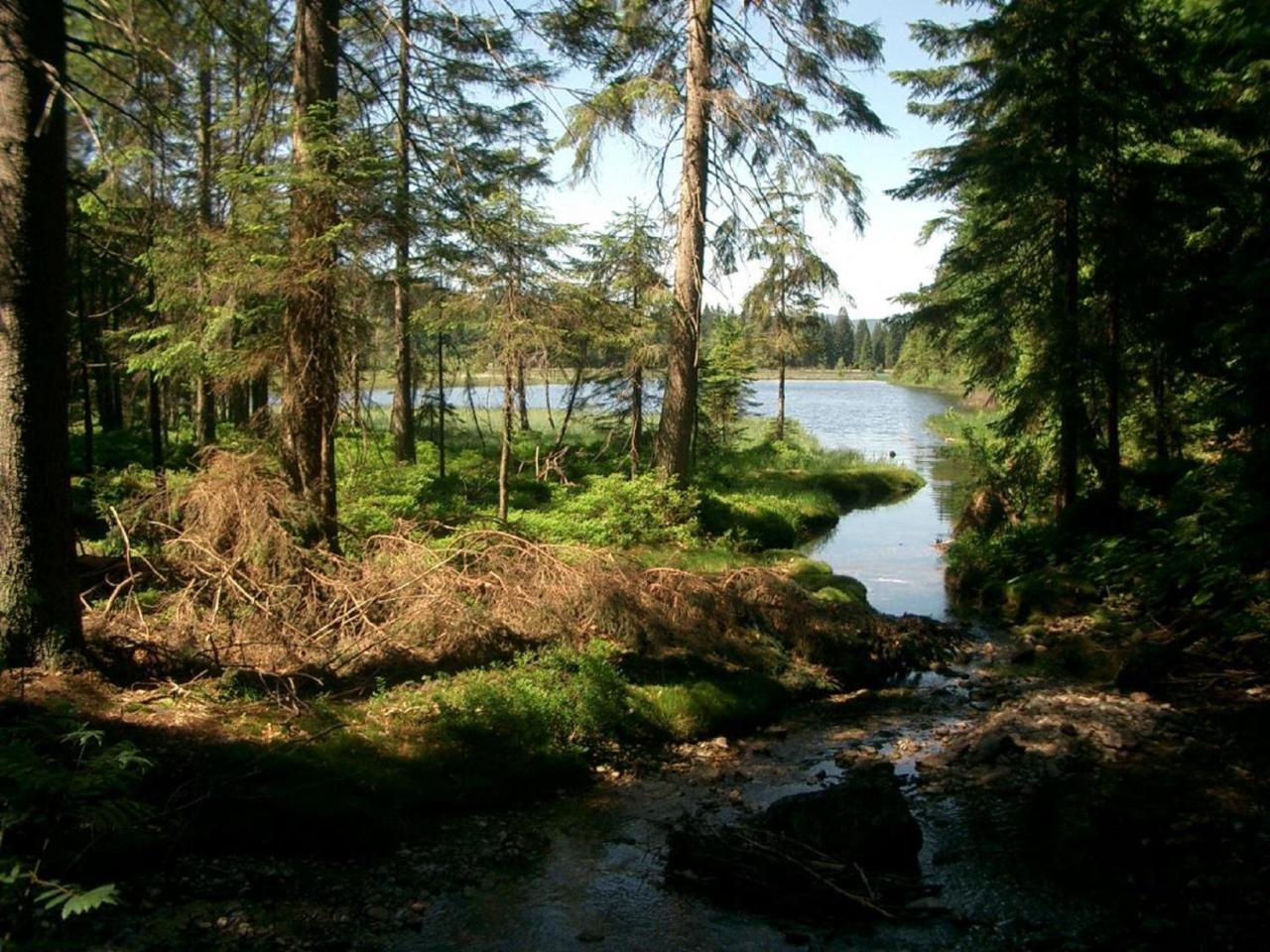 Ferienhof Ellerbeck Langdorf  Экстерьер фото